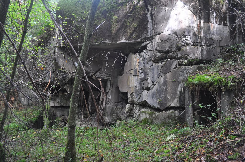 WW II Bunker bei Climbach von Siegfried Kremer by Siegfried Kremer Philippsburg