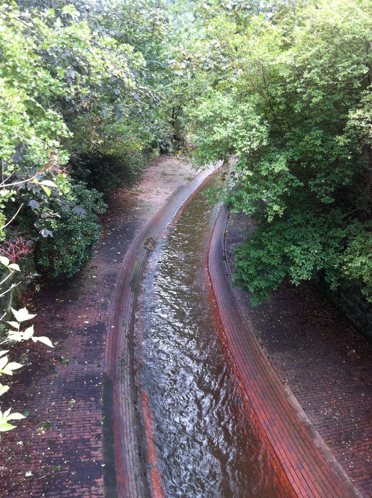 River Medlock at Philips Park by citizenandrew