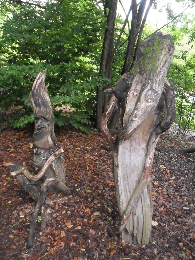 Waldhaus-Freiburg - Skulpturenpfad - Wald Menschen by Sehnwirmal