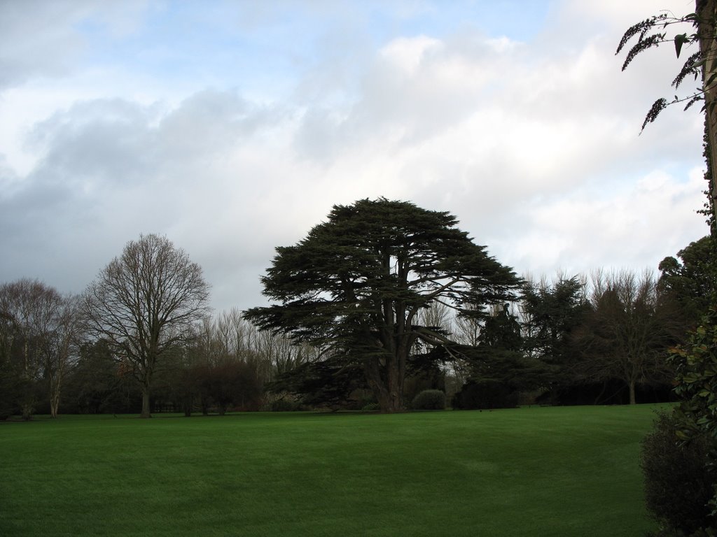 Malahide castle garden by petasmasak