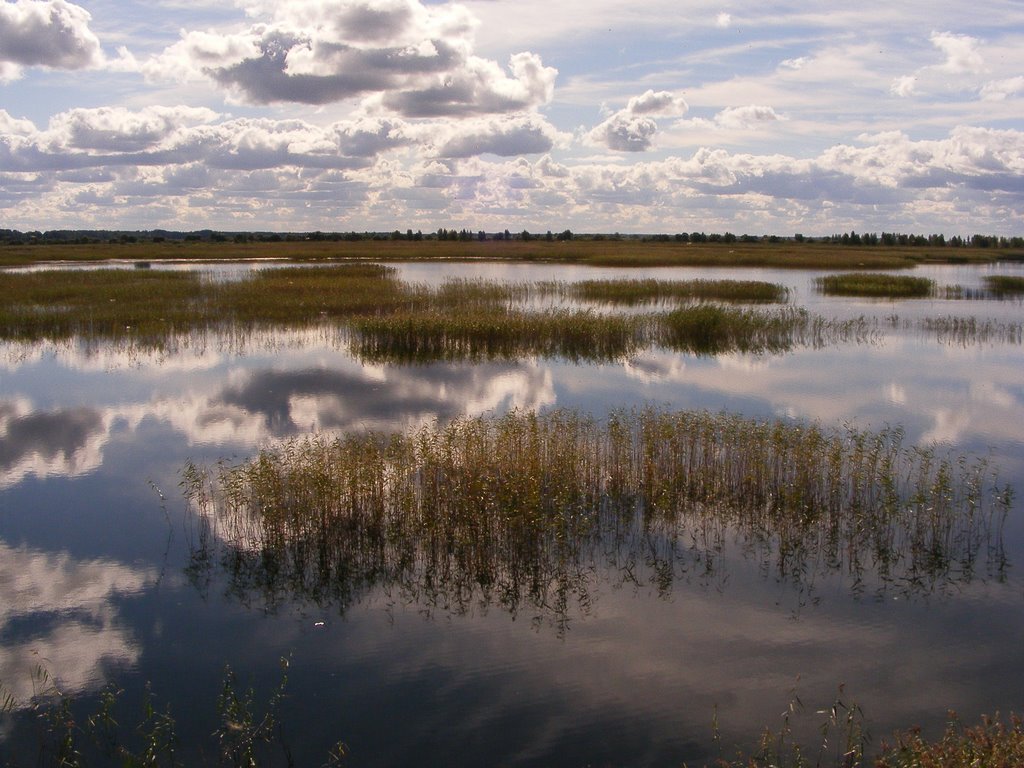 Gaigalavas pagasts, Latvia by shubin