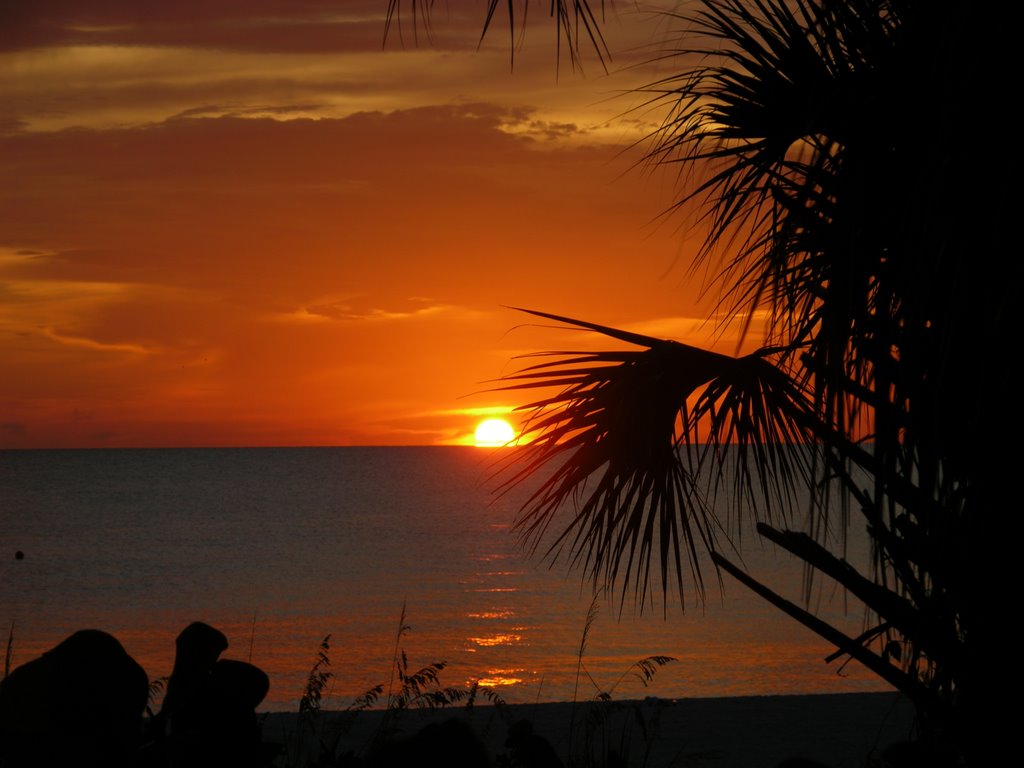 Naples Florida Vanderbilt Drive by Glyn M Evans