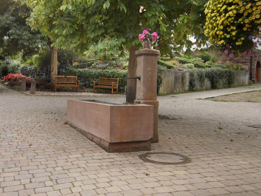 Der Dorfbrunnen in Dietenhausen by Dr. Werner Jung