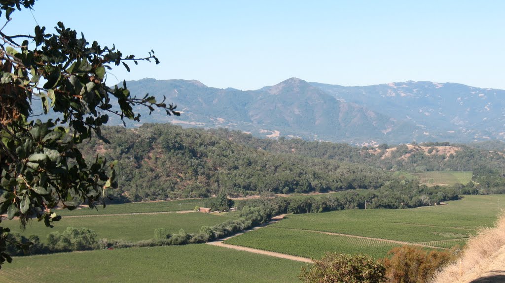 Northern California Wine Country near Hopland, CA by JLH007