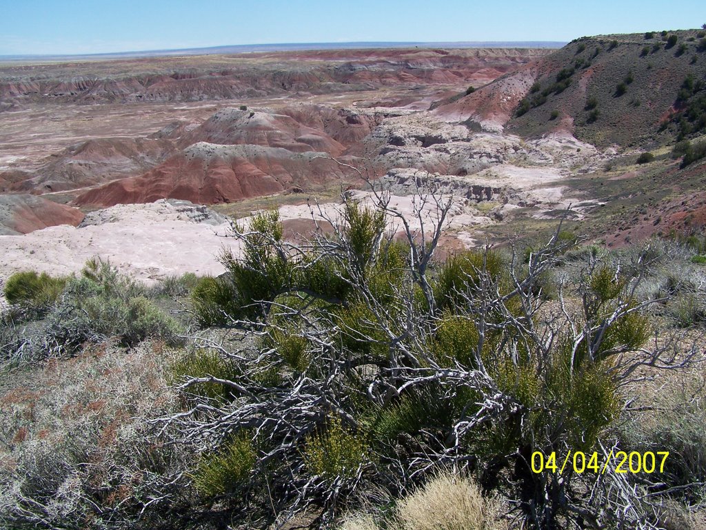 Painted Desert by Jen Ulasiewicz