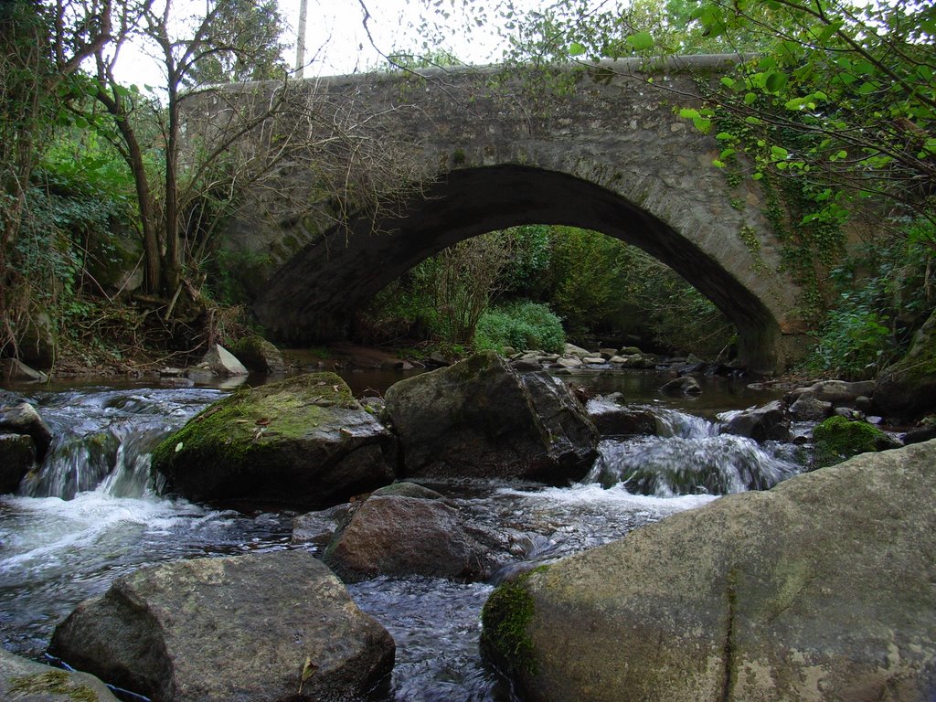 Cottance (42) Pont sur la Charpassonne by caplior5