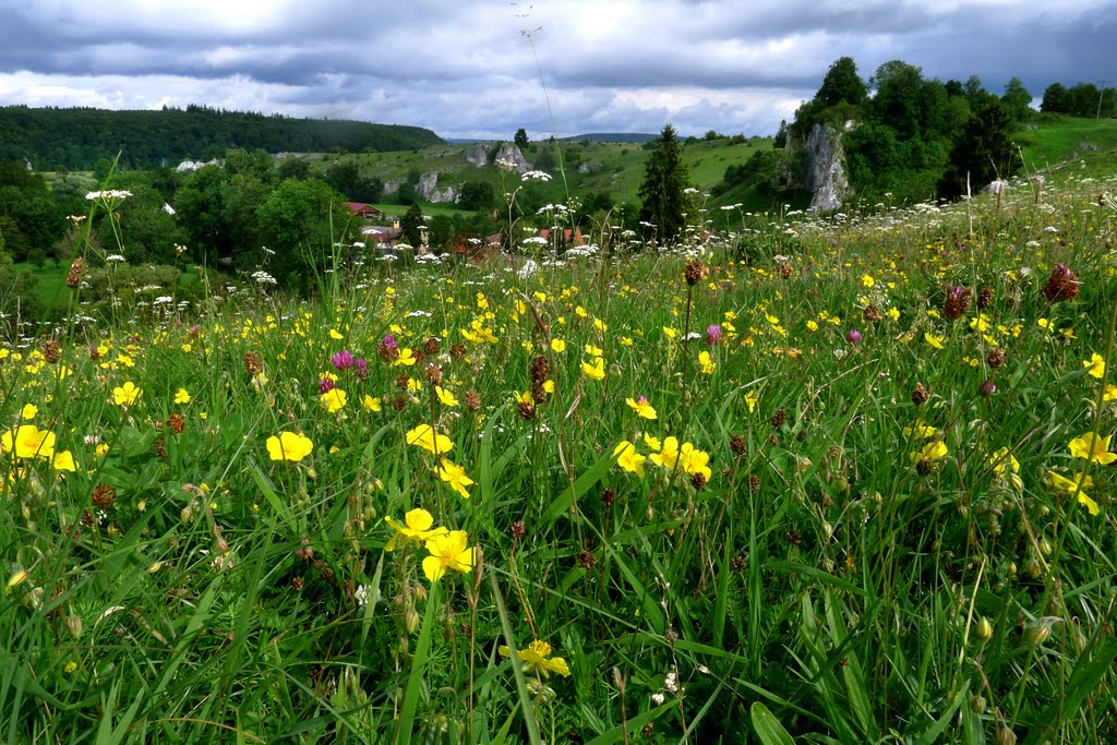 Blühende Landschaft by Holger Uwe Schmitt