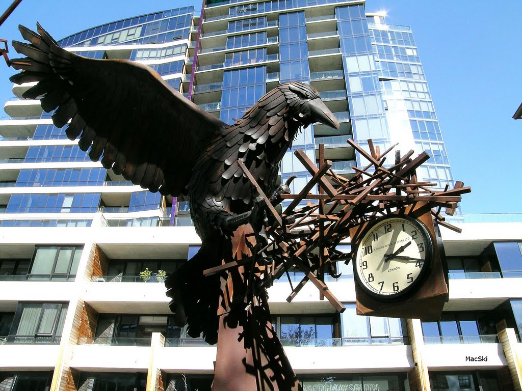 Canberra - 'The Eagle Has Landed' - actually 'Time Thief' Bower Bird by MacSki