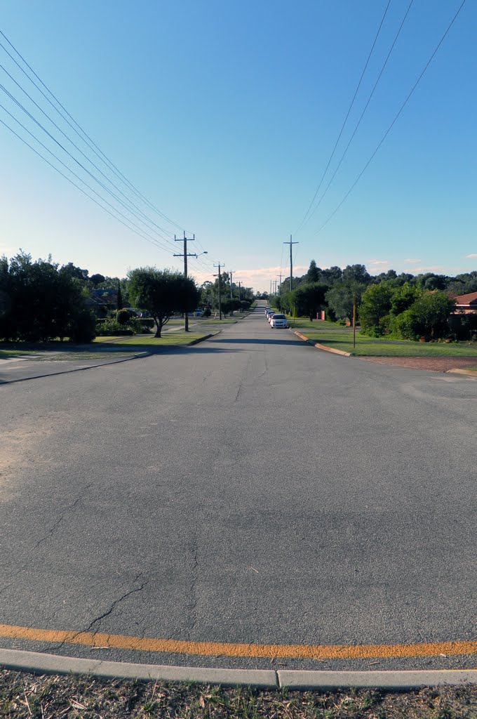 Hertha Road as seen from Cedric Street by Dylan Hewson