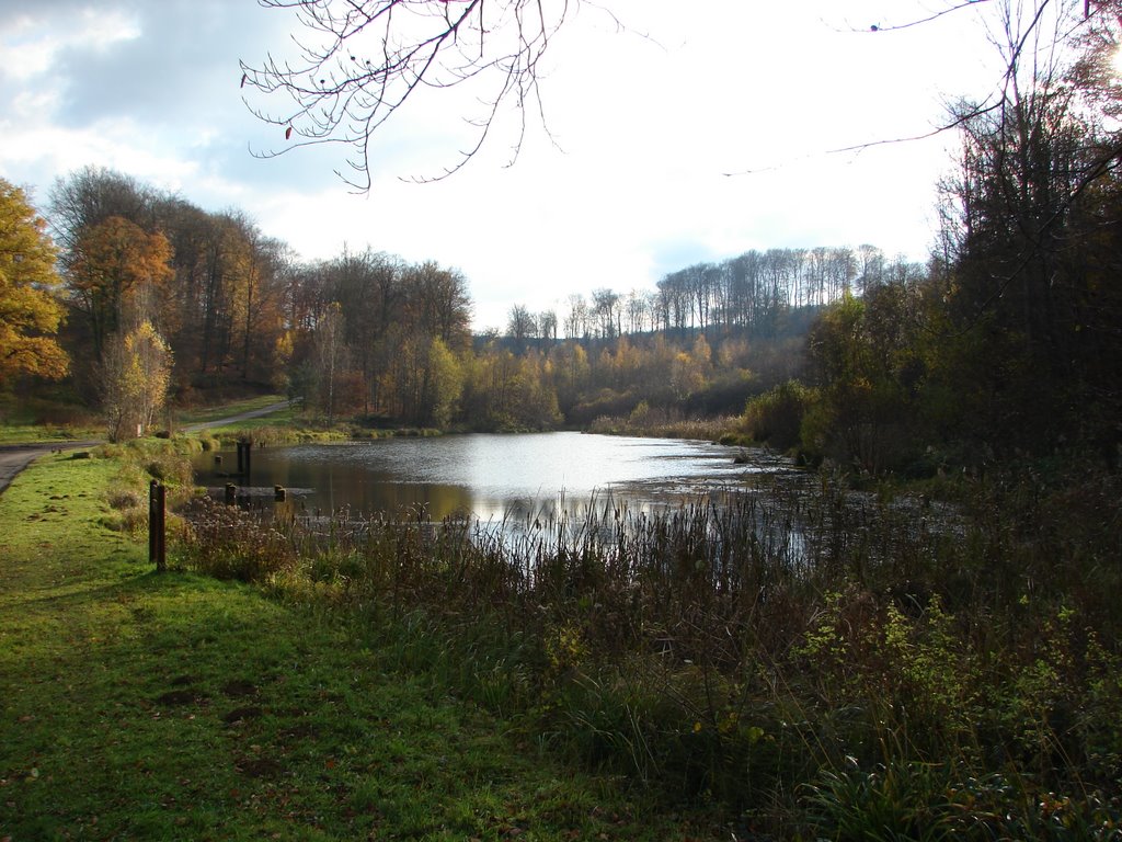 Etang du Pré Lardot by Eliseo Jonen