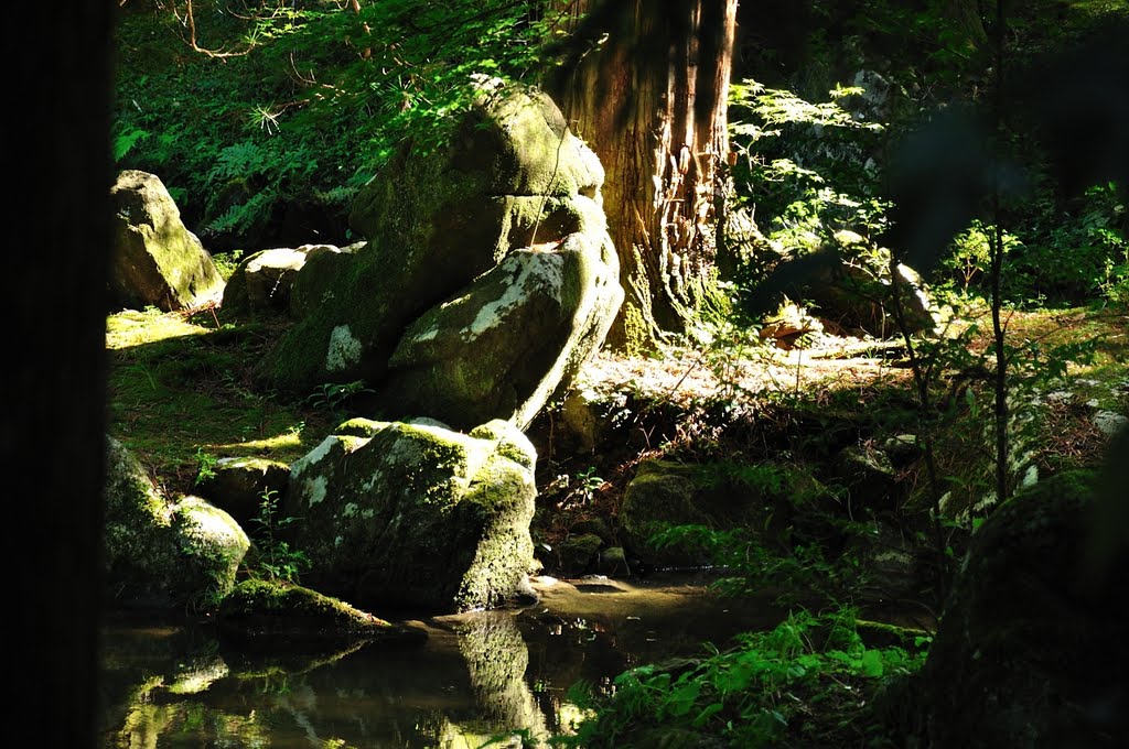 北畠神社　庭園跡 by shinsenkyo