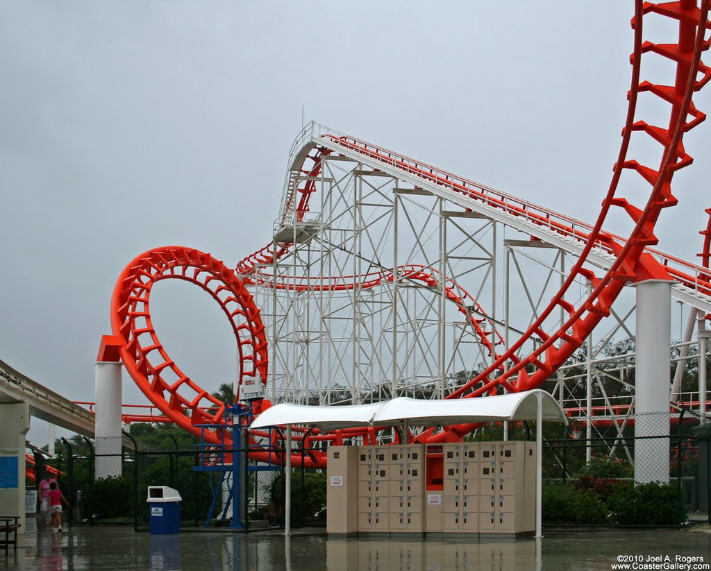 Sea Viper by CoasterGallery.com