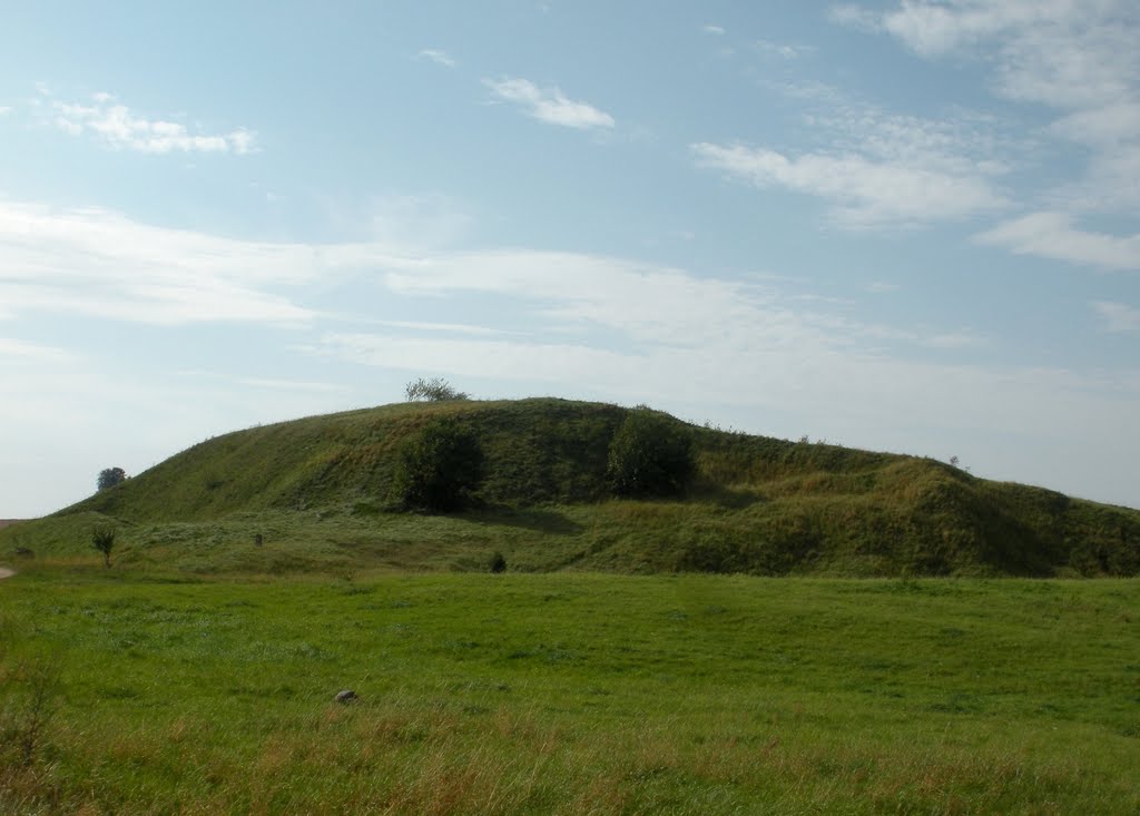 Kaupiškių piliakalnis (Kaupiskiai mound) by MrEko