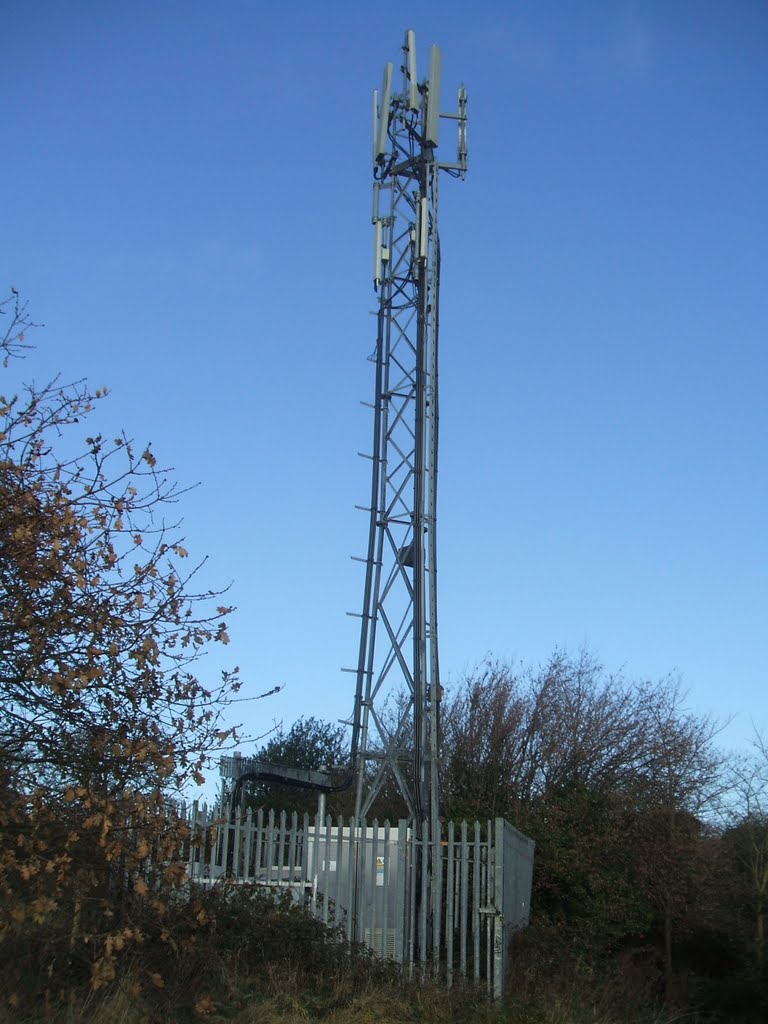 T-Mobile Cell 53240 O2 Arnos Vale, Brislington, Bristol by bcfczuluarmy