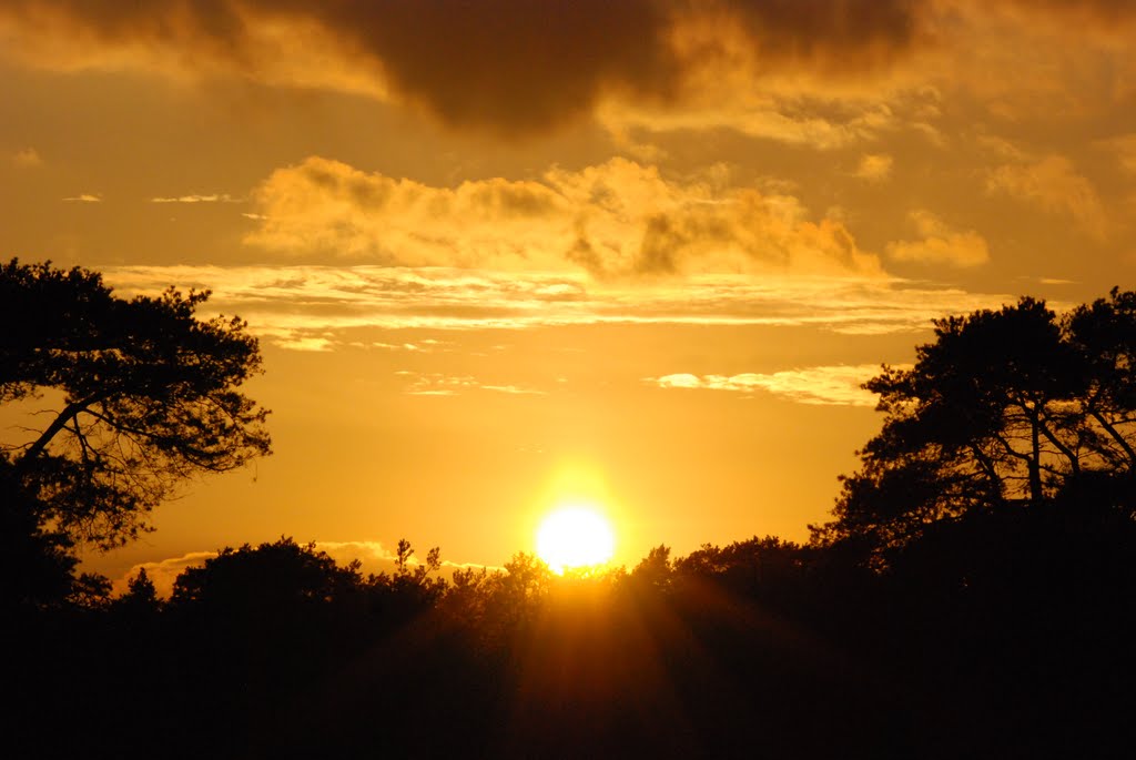 At the opposite side of all the deers one can enjoy a lovely sunset at Hoge Veluwe by Henq