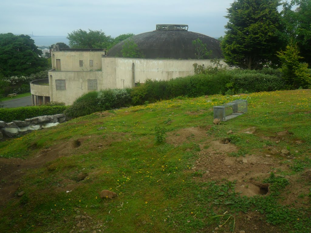 Floral Hall From Prairie Dog Area by 3749paul