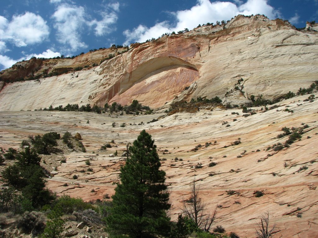 USA, ZION NP: Arch on Moutain opposite to Checkerboard Mesa by Ashraf Nassef