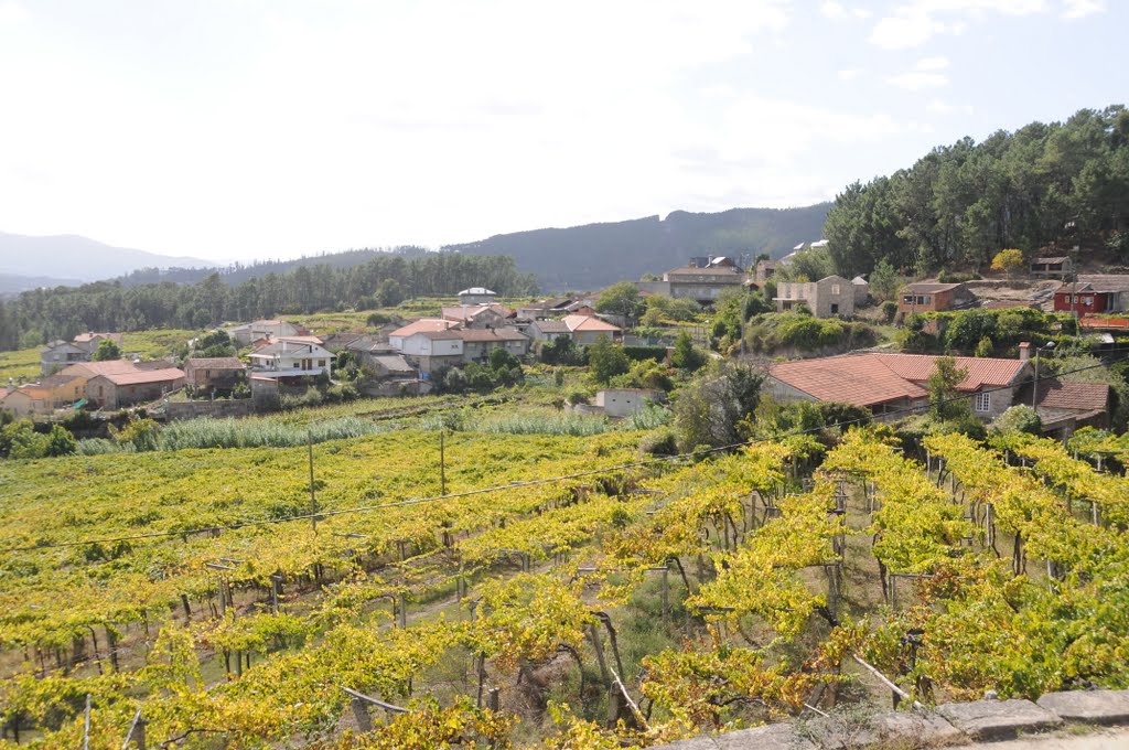 View from Arbo Church by J. Braga