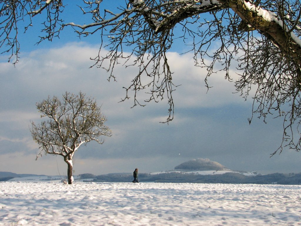 Schwäbische Alb: Blick zum Hohenstaufen by PeSchn