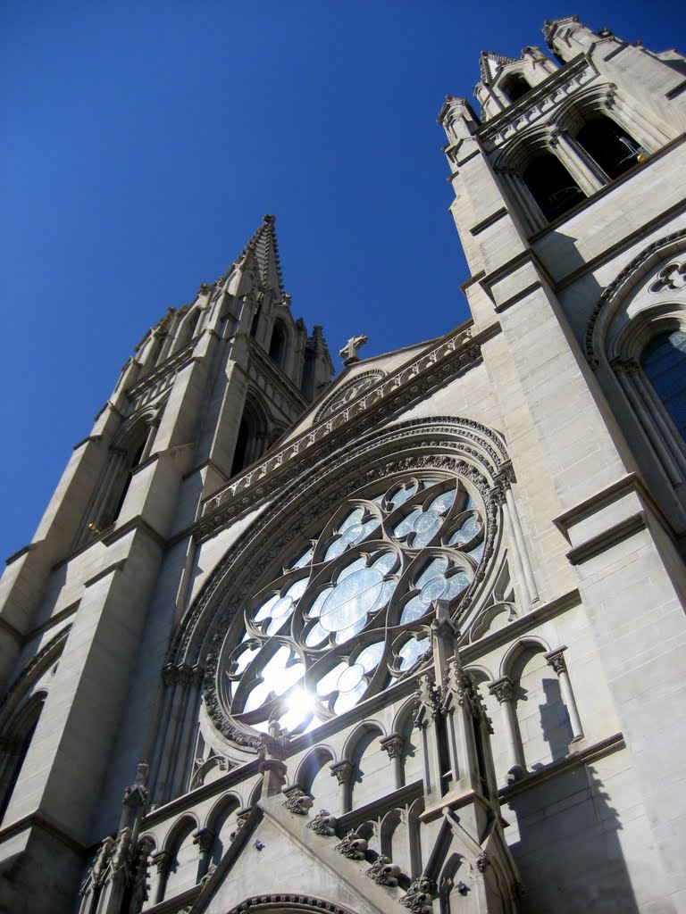 Cathedral Basilica of the Immaculate Conception by adoverboy2