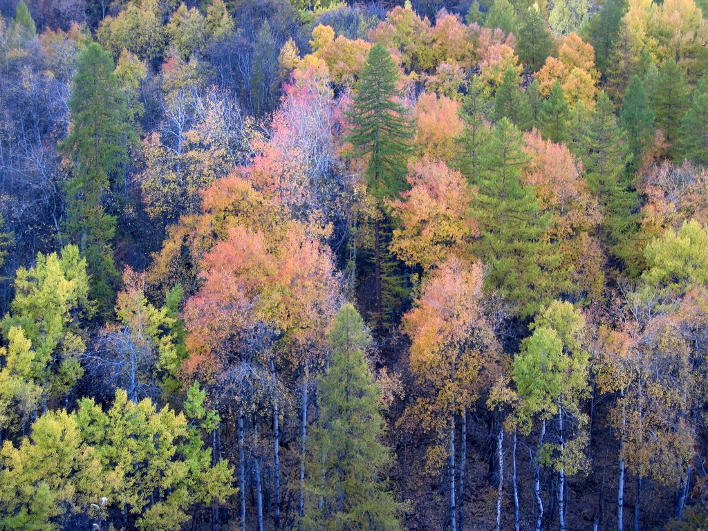 Couleur d'Automne by damien godinot