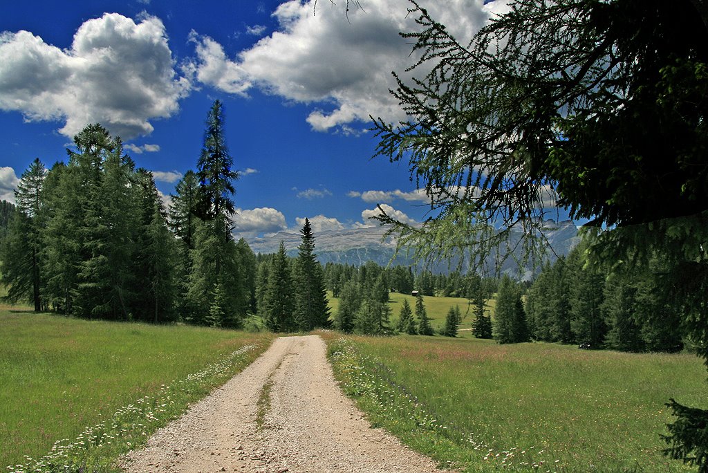 Val Badia: Prati dell' Armentara by ElMac