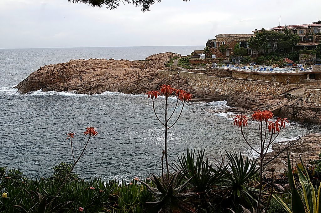 San Feliu de Guixols, Girona, Cataluña, España by Antonio Alba