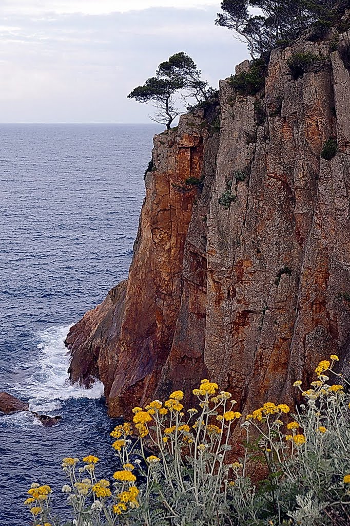 San Feliu de Guixols, Girona, Cataluña, España by Antonio Alba