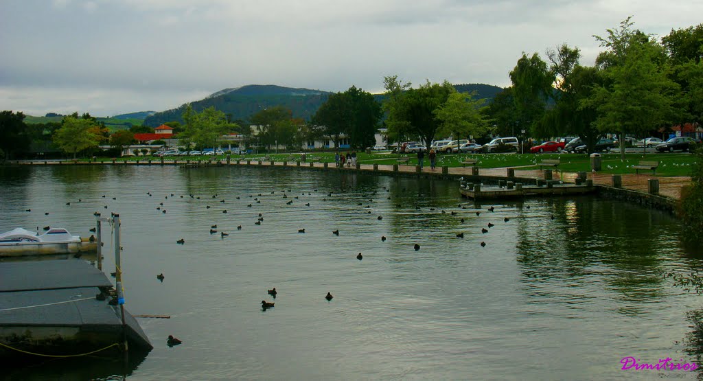 Rotorua New Zealand by Dimitrios Stathakis