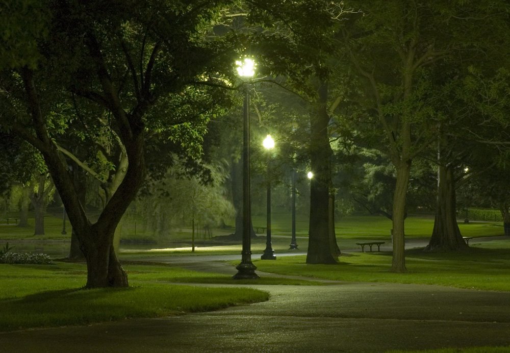 Public Gardens, Boston, Massachusetts by Rick Tillotson, II