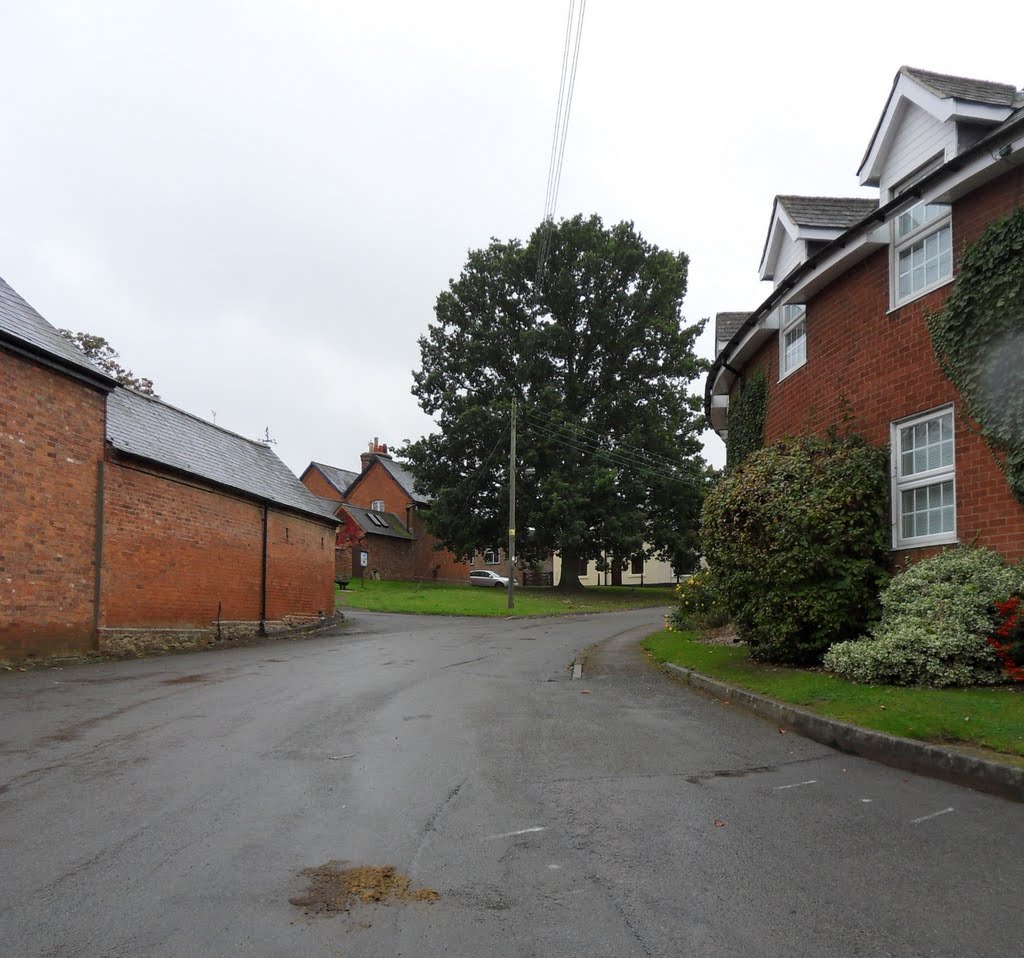 Old and the new in Mowsley Ln., plus The Bosworth Oak by Bobsky.