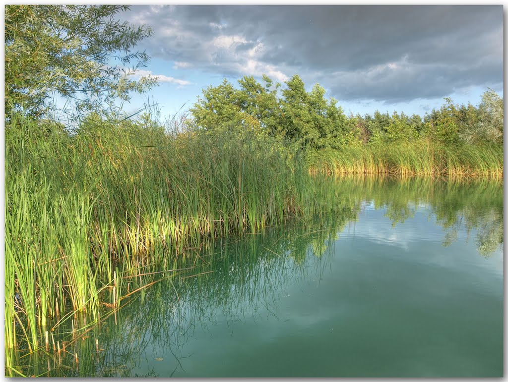 Waters rest! by Herb Riddle