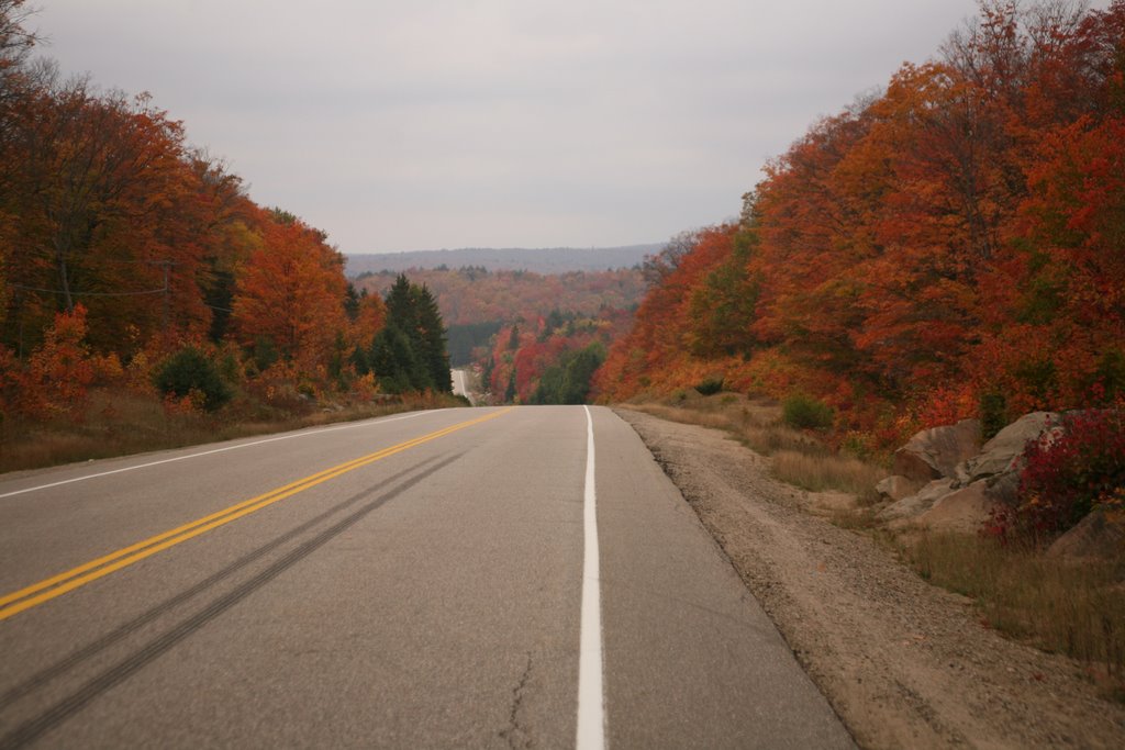 Algonquin Provincial Park, Ontario, Canada by Hans Sterkendries