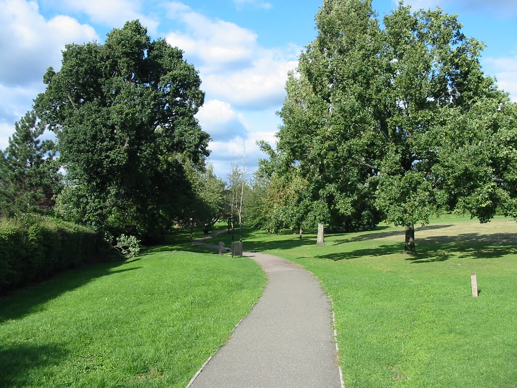 Path through Parkfield by Shimmerxxx