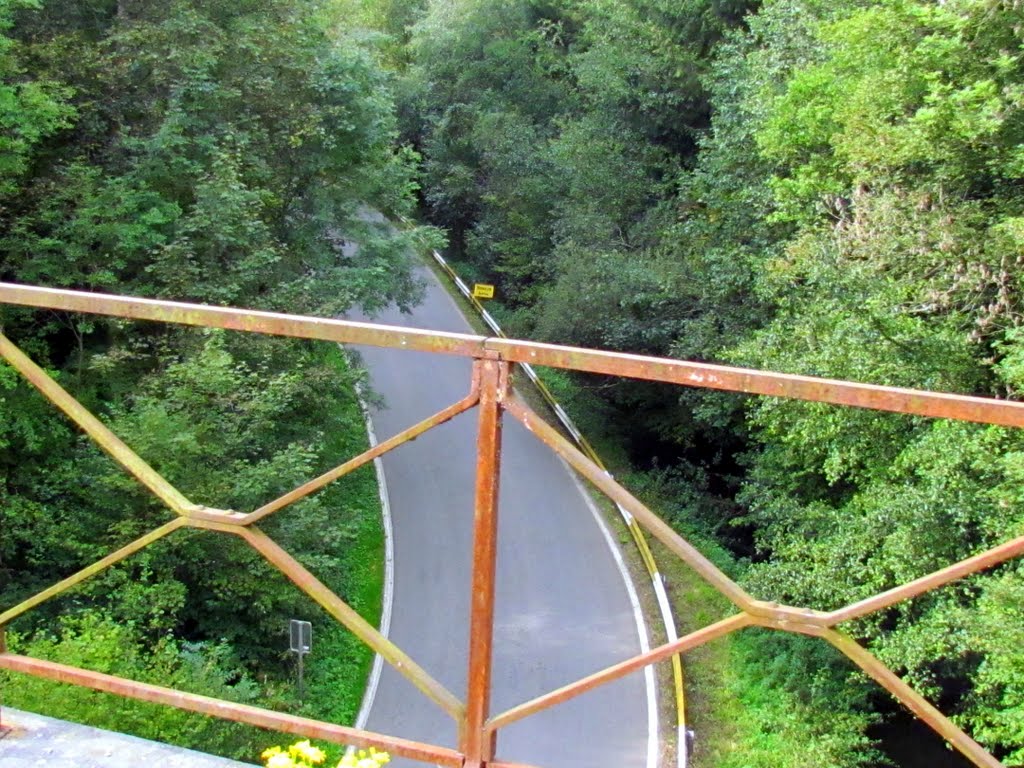 Belgium : Falaen : Rail bicking : Over the bridge by tinawaldo