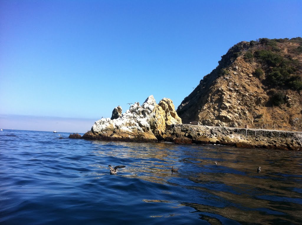 Avalon Point at Avalon Bay - Catalina Island, CA by tpolancoperez