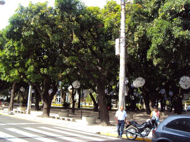 Praça do Entrocamento, bairro das Graças by Orlando de Almeida Calado