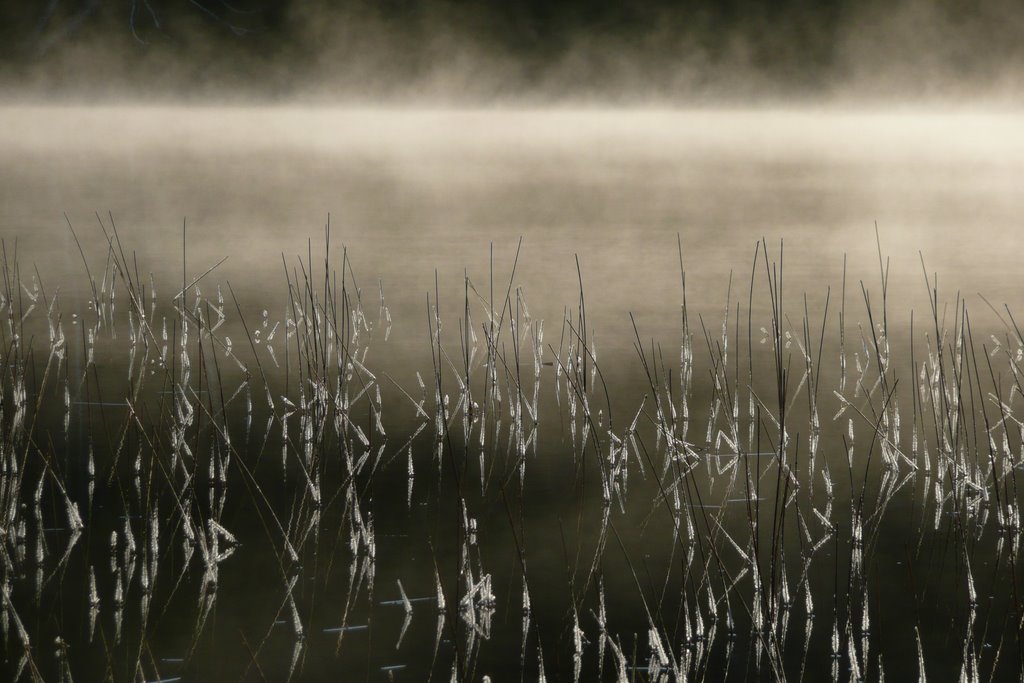 Lac Plat, matin de novembre by Jean-Pierre Adam