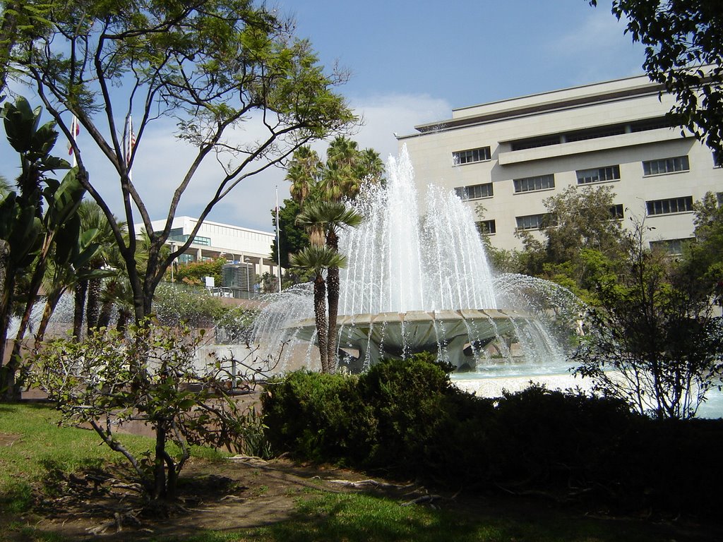 Civic Center, Los Angeles by lmontero