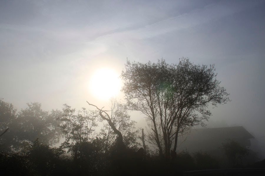 Amanecer con niebla by Inocencio Goikuria