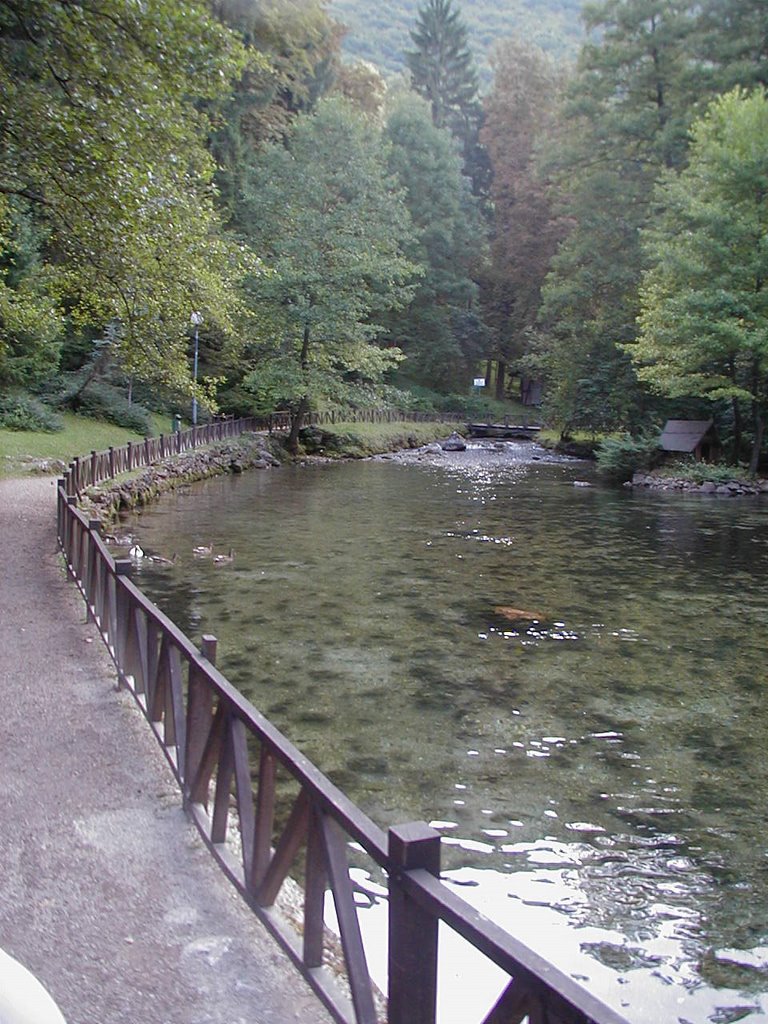 Vrelo Bosne, Sarajevo by nkovac