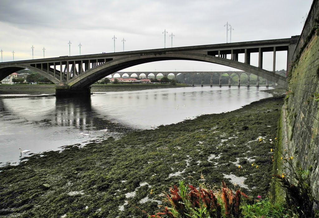 Border Bridges, Berwick-upon-Tweed, England, United Kingdom by Stare Mosty