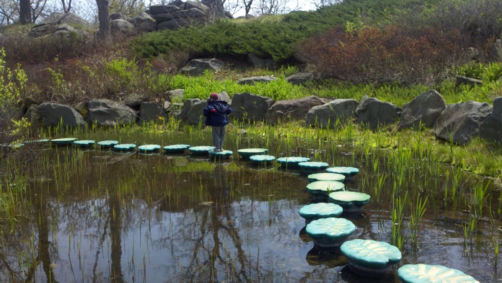 Pond by cocviet