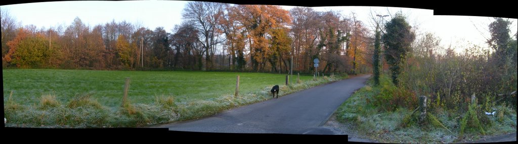 Wiese am Eselsbach und der Kaiserroute in Hochdahl by beaser