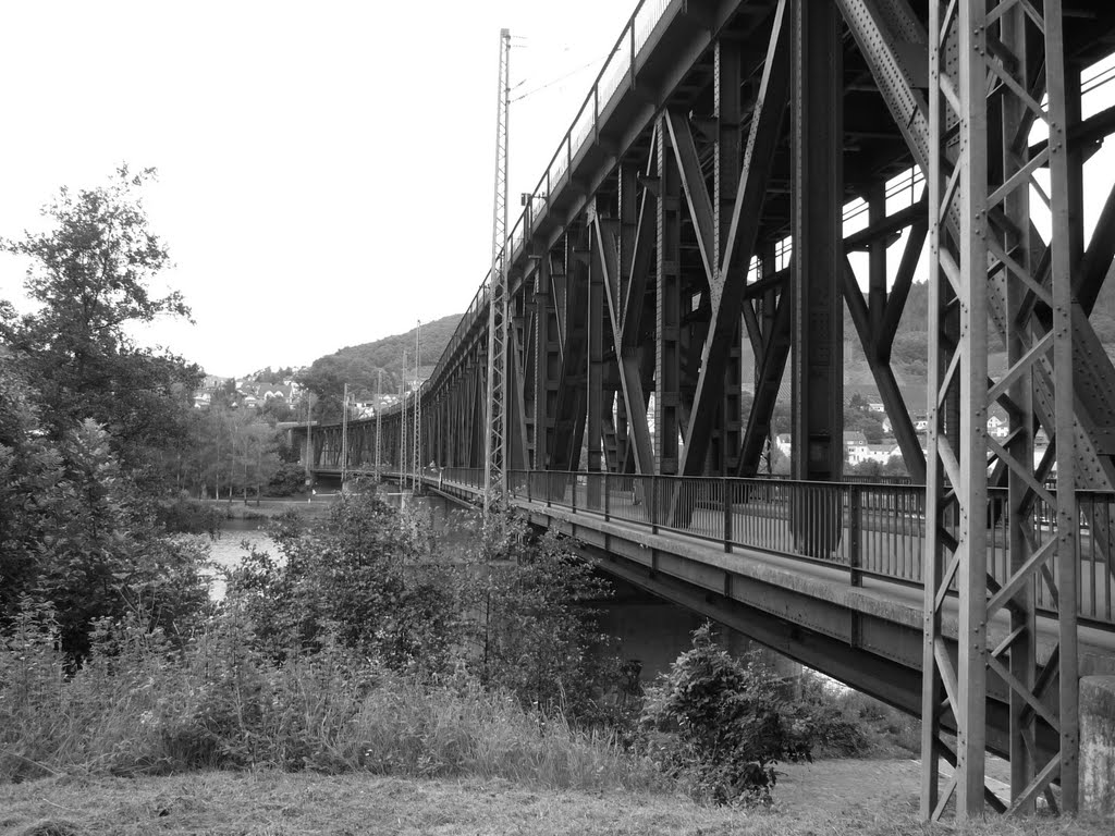 Eisenbahn- und Straßenbrücke über der Mosel (Bullay) / 30.07.2011 by Iceman93 / NO VIEWS!!!