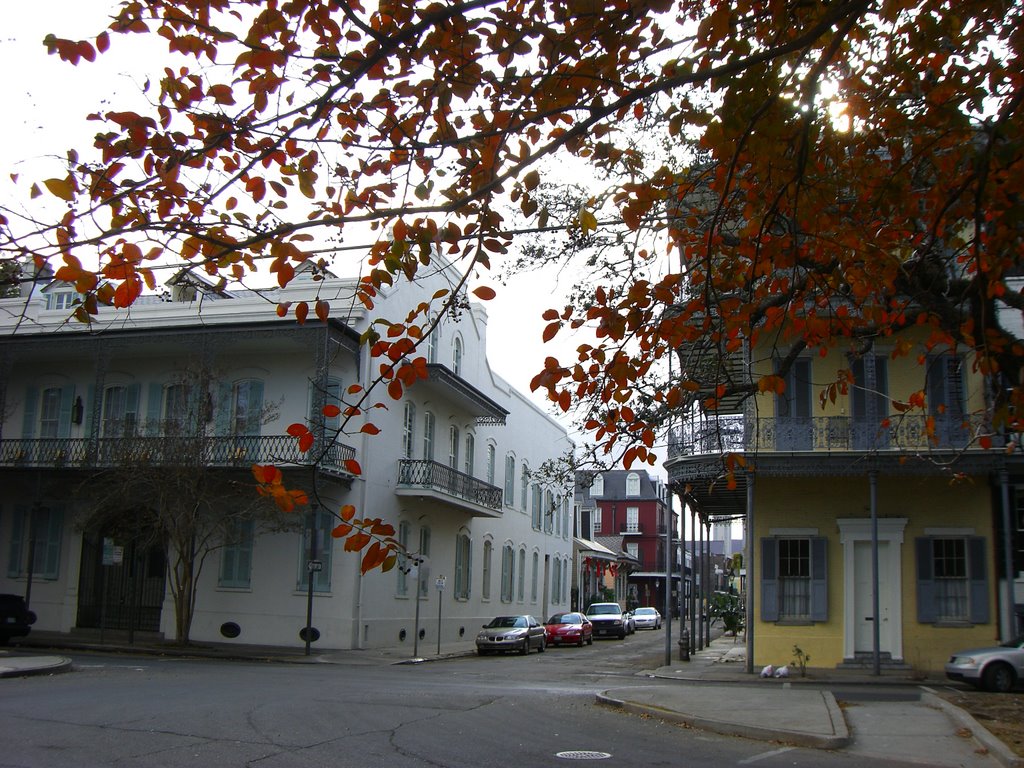 New Orleans Autumn by kawai1231