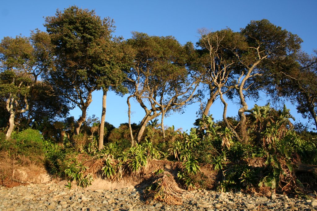 2nd Beach Port St Johns - storm damage by Terry Andrews