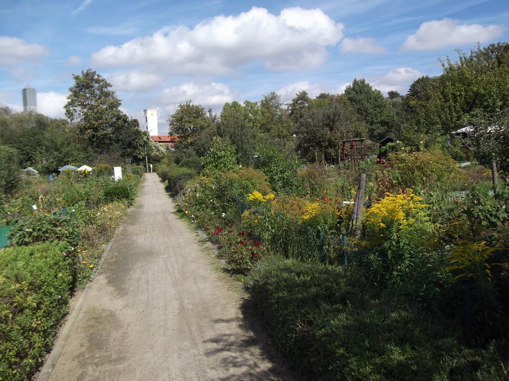 Schwalbach Hoby Garden by HÖcal