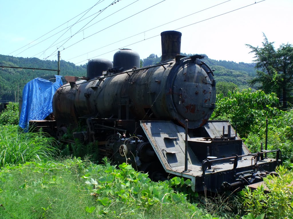 Abandon steam locomotive by Tokyomatt