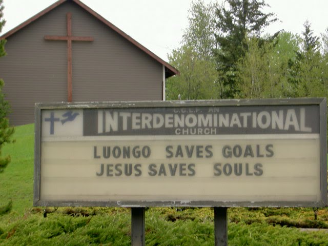 Luongo saves goals by tanja afflerbach